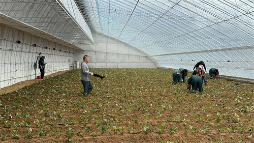不朽情缘MG(中国区)官方网站 -首页入口